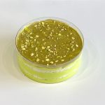 pistachio pudding (2)